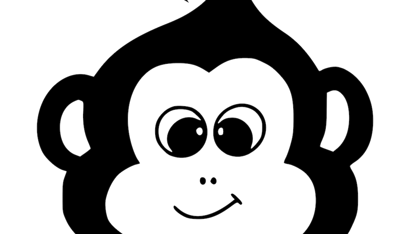StudyMonkey preview