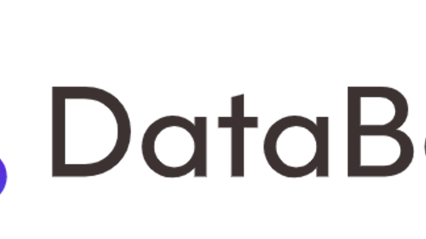 DataBorg preview