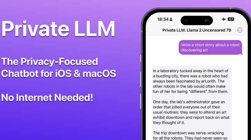 Private LLM preview