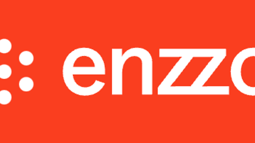 Enzzo AI preview