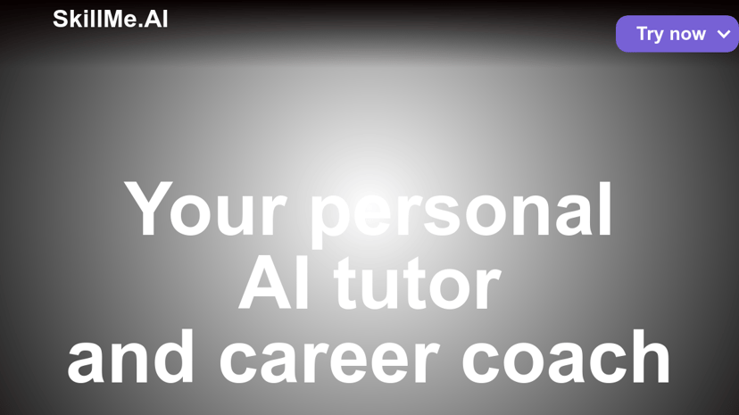 SkillMe.AI preview
