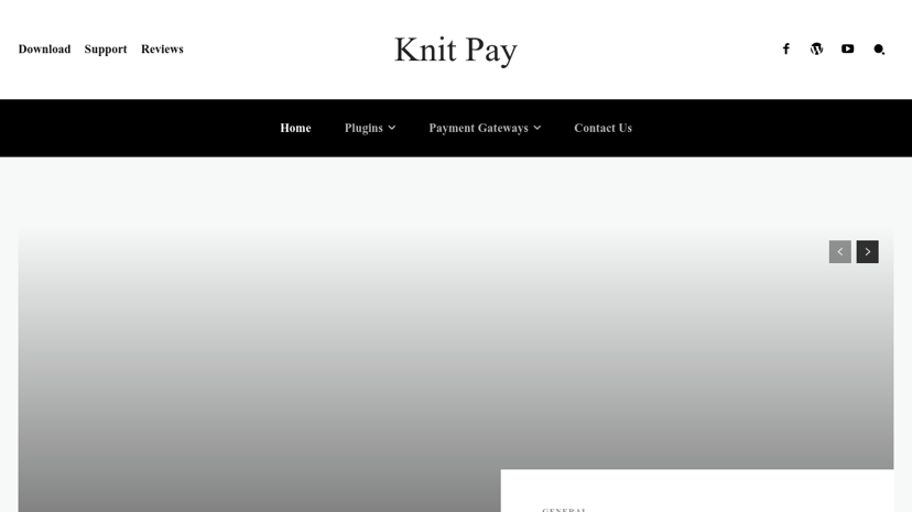Knit Pay preview