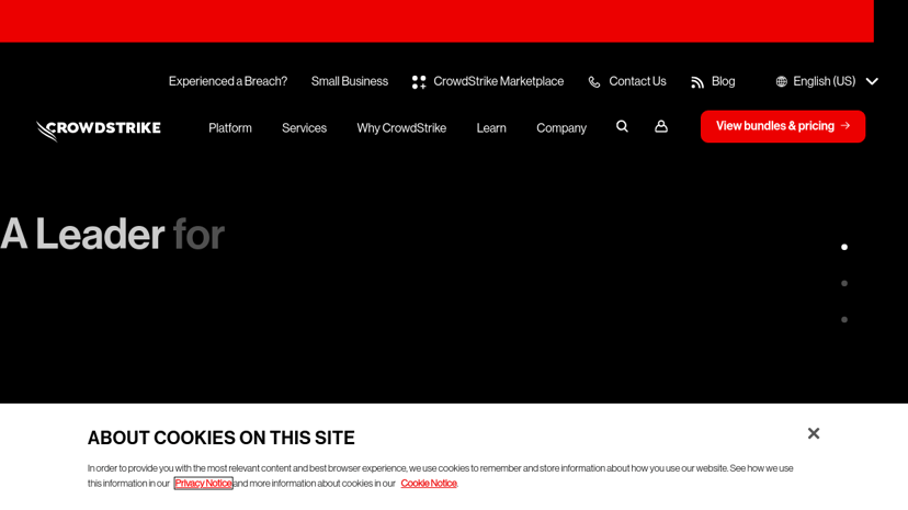 CrowdStrike preview