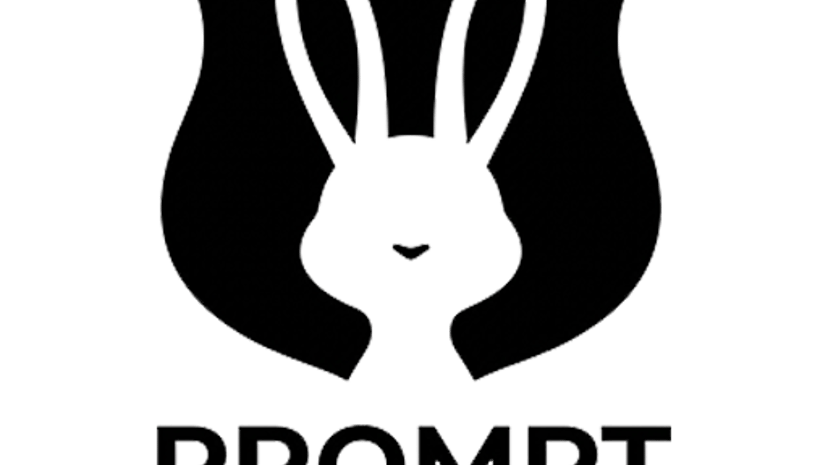 Prompt Image preview