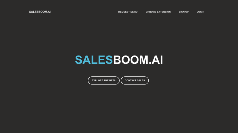 SalesBoom.AI preview