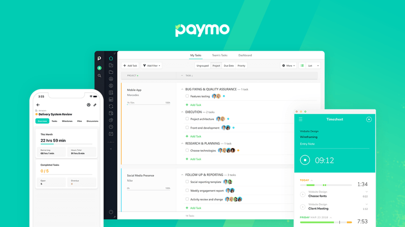 Paymo preview