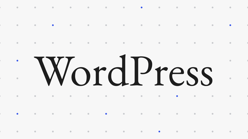WordPress preview