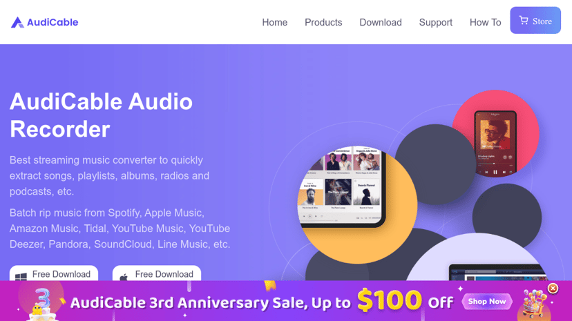 AudiCable preview