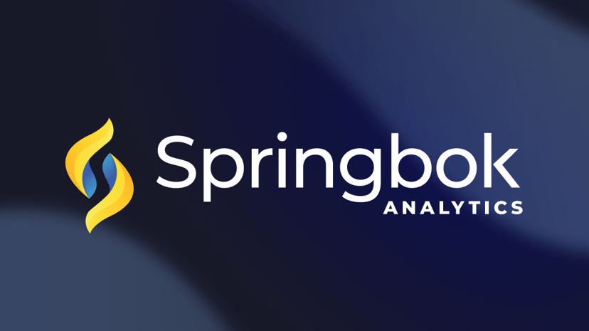 Springbok Analytics preview