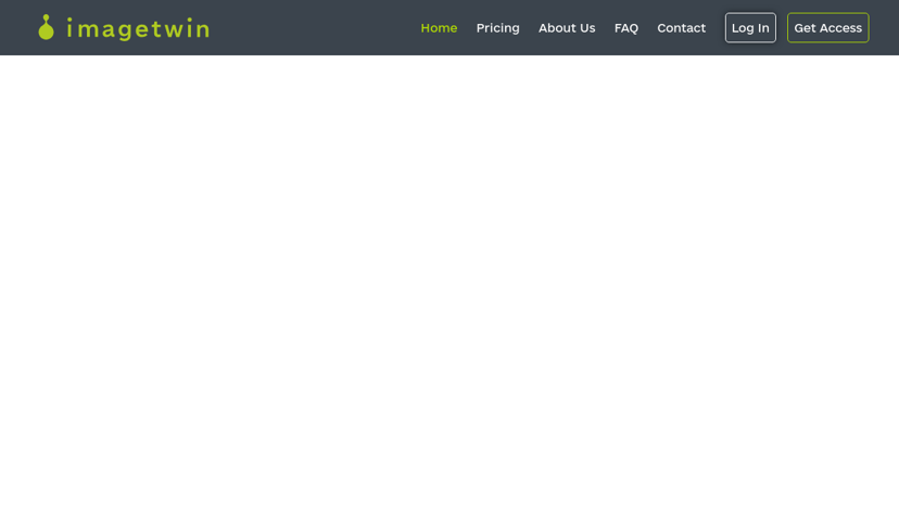 Imagetwin preview