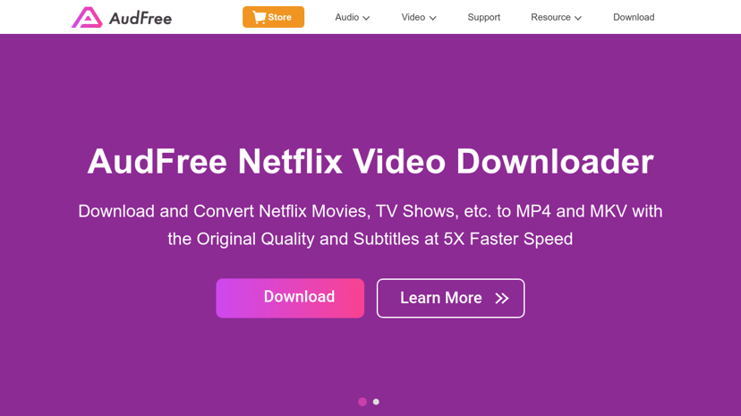AudFree preview