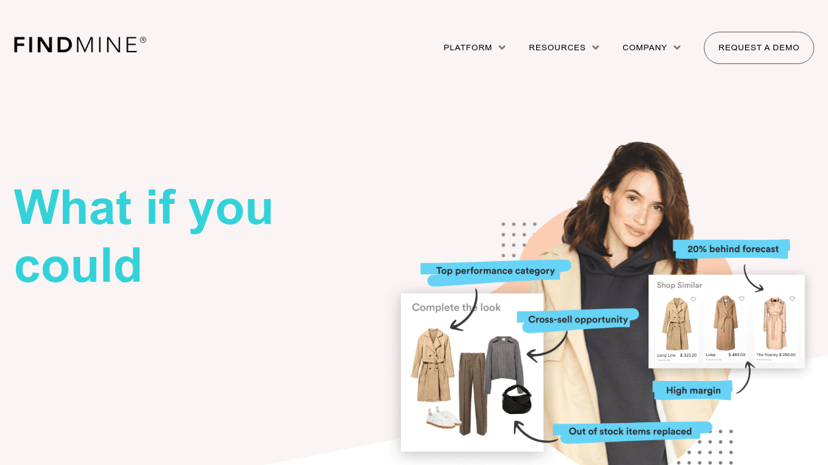 FindMine preview