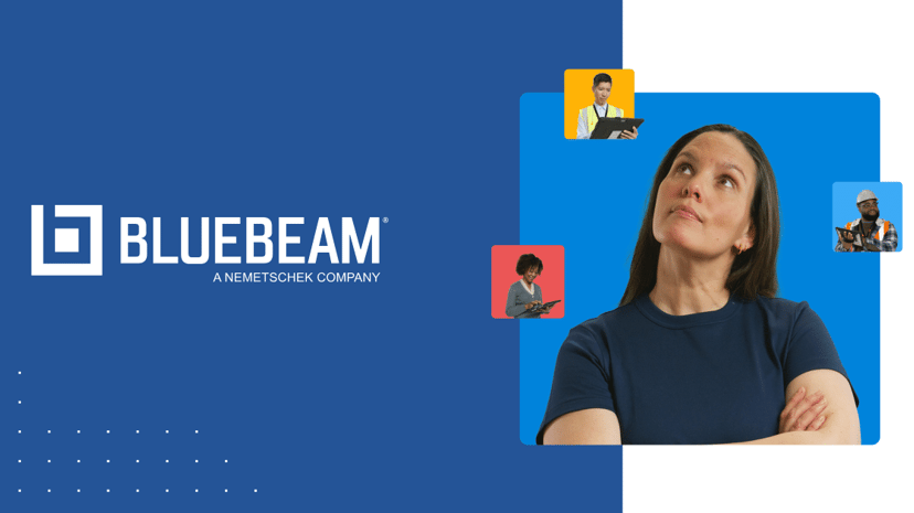 Bluebeam preview