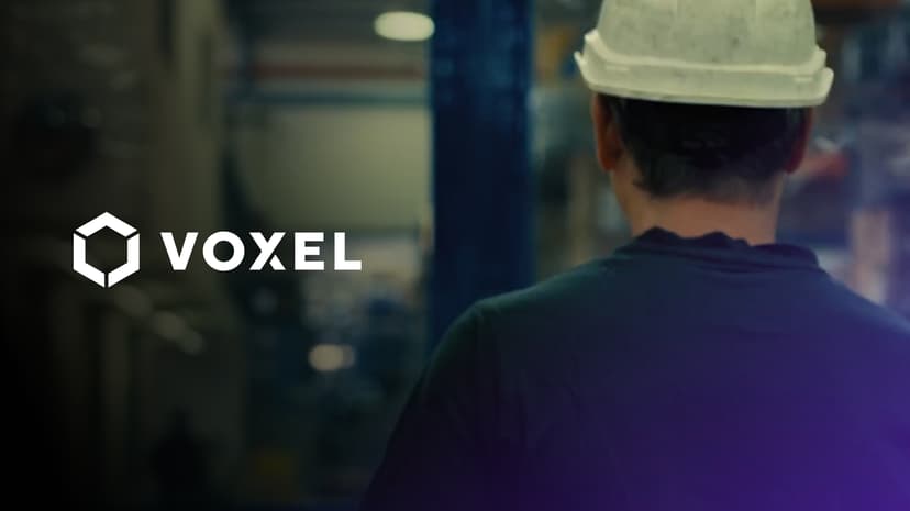 Voxel preview
