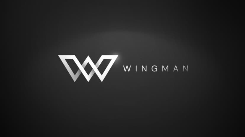Wingman preview