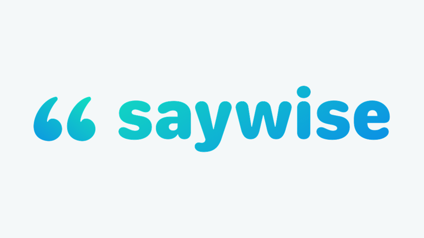 Saywise preview