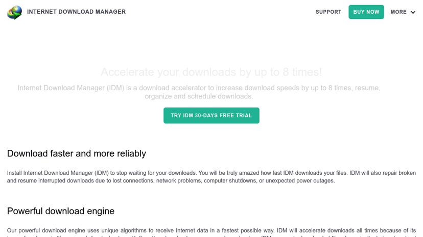 Internet Download Manager preview
