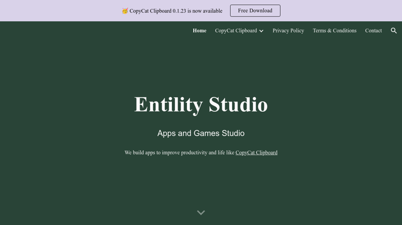 Entility Studio preview