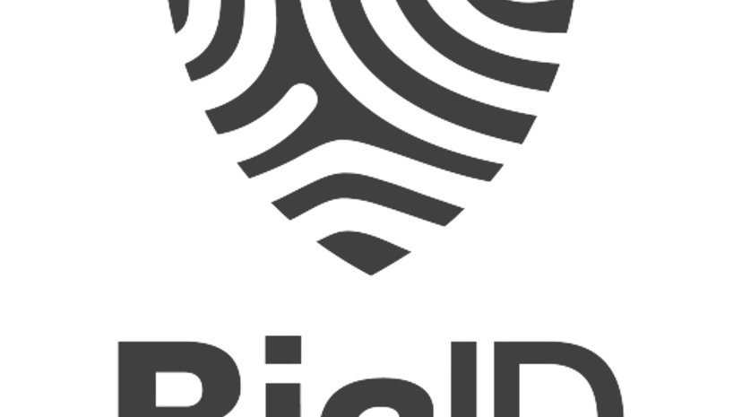BigID preview