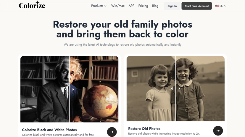 Image Colorizer preview