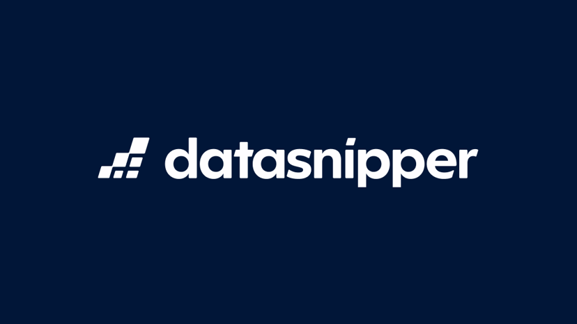 DataSnipper preview