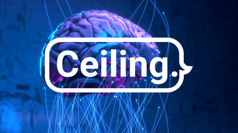Ceiling preview