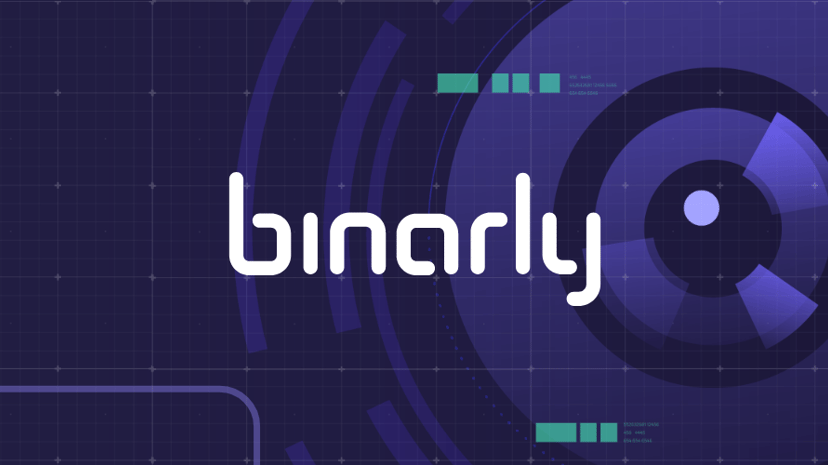 Binarly preview