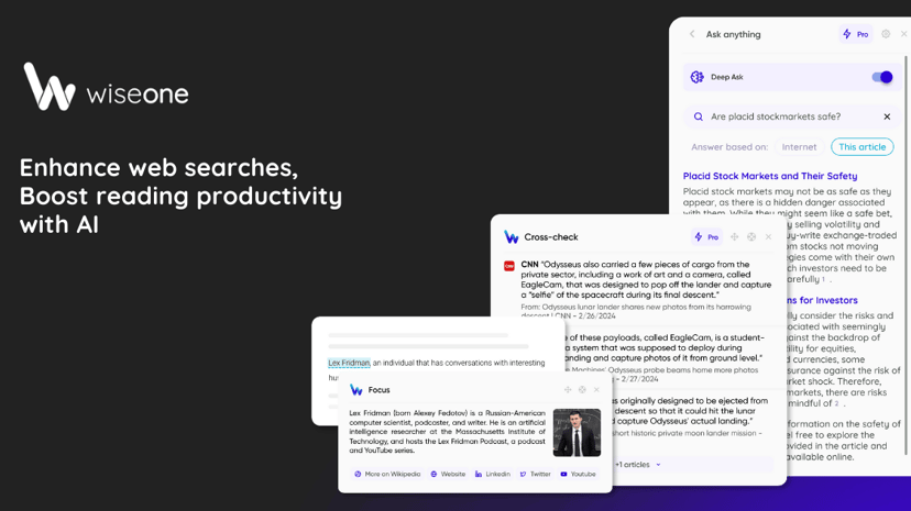 Wiseone preview